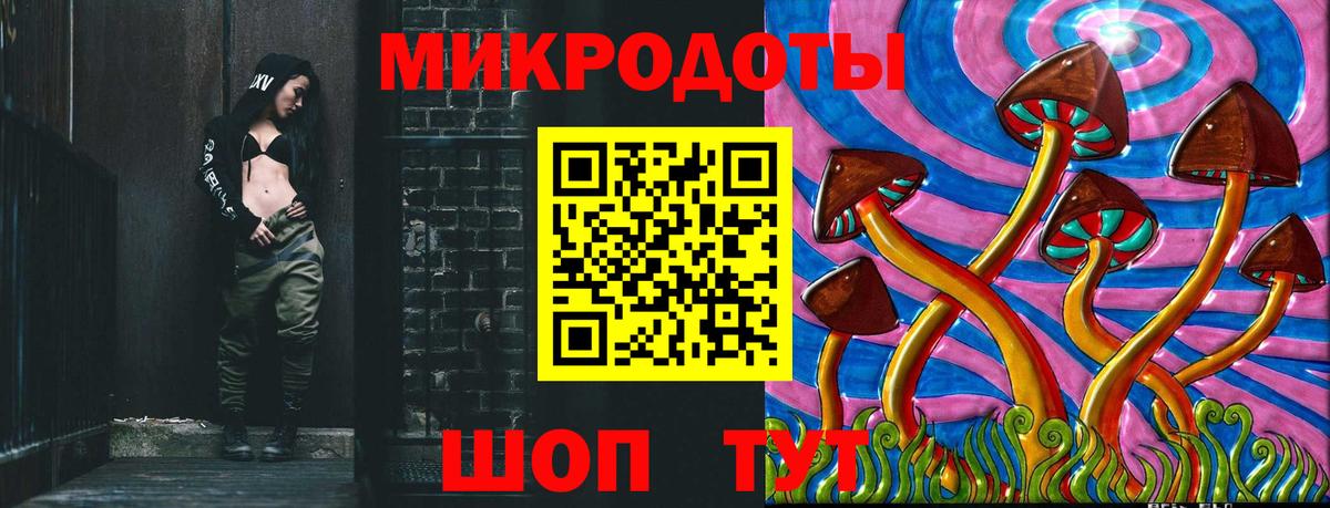 Галлюциногенные грибы Psilocybe Бердск