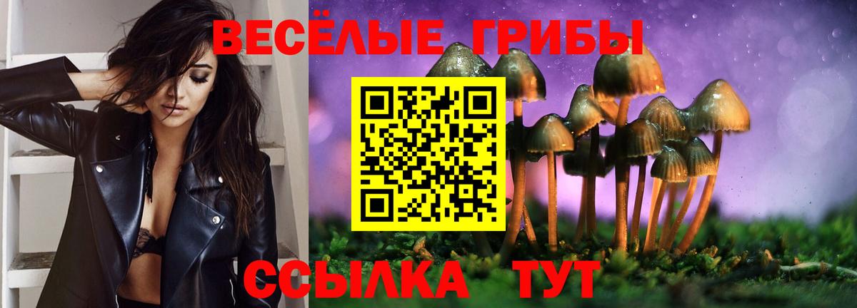 Галлюциногенные грибы Psilocybe  Псилоцибиновые грибы Magic Shrooms  Бердск  Вход с VPN 